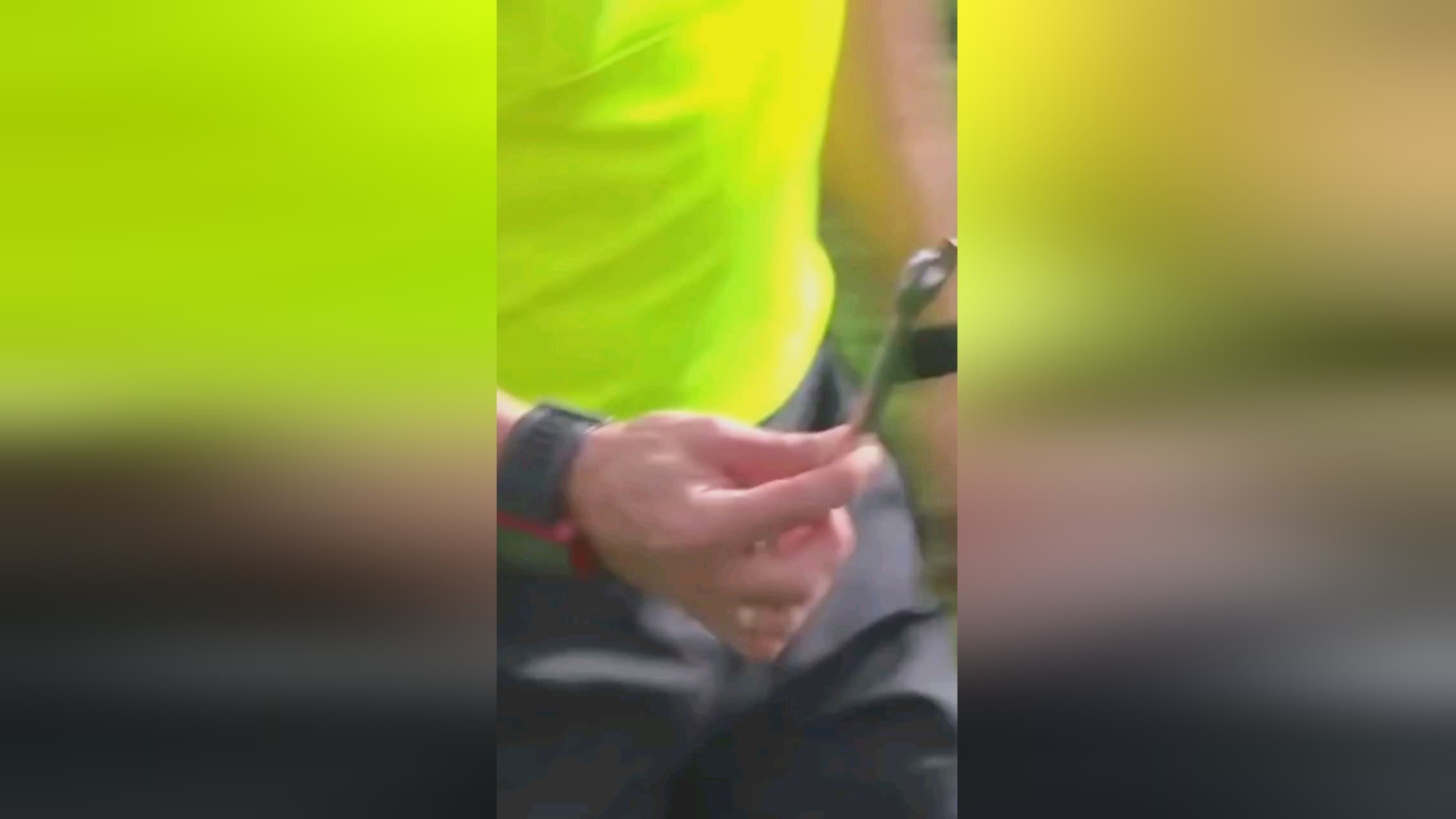 利对