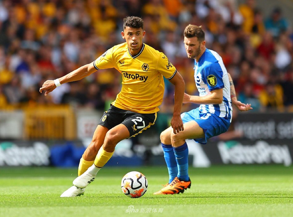 了一定优势 了一定优势